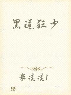 黑道狂少封面