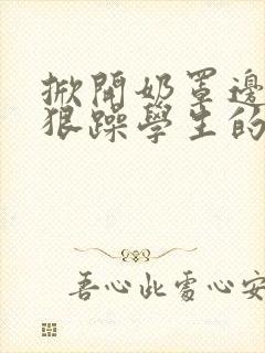 掀开奶罩边躁狠狠躁学生的小文字