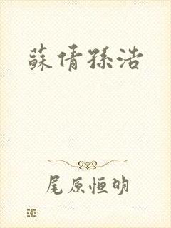 苏倩孙浩