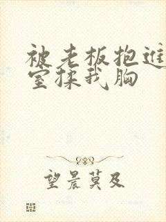 被老板抱进办公室揉我胸