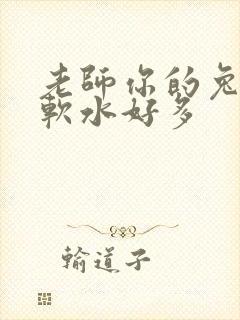 老师你的兔子好软水好多封面
