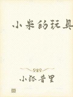 小米的玩具日记