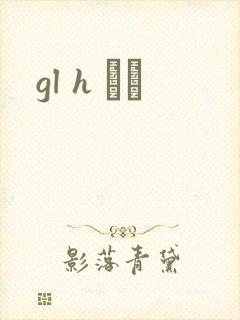 gl h С˵封面