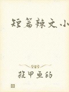 短篇辣文小说