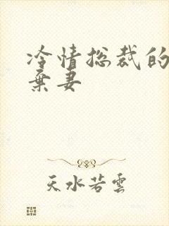 冷情总裁的新婚弃妻