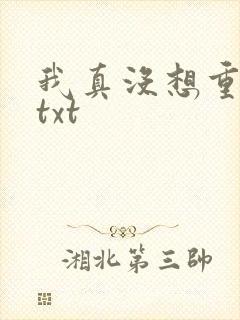 我真没想重生啊txt