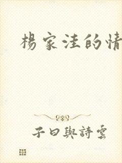 杨家洼的情事封面