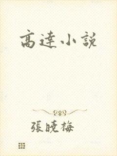 高达小说