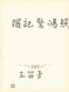 犹记惊鸿照影封面