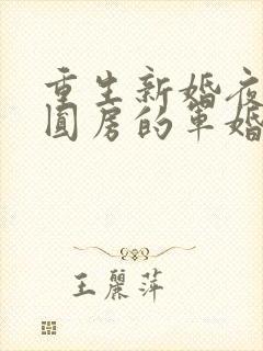 重生新婚夜正在圆房的军婚