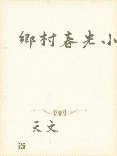 乡村春光小说封面