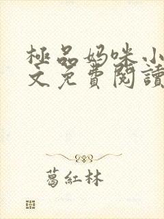 极品妈咪小说全文免费阅读