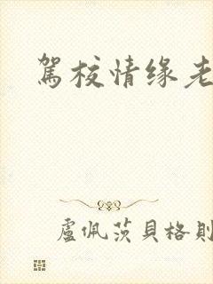 驾校情缘老赵
