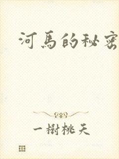 河马的秘密河