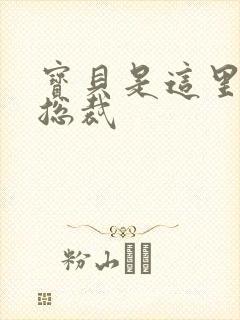宝贝是这里对吗总裁