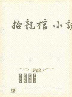 抬龙棺 小说