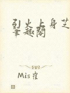 引火上身芝麻糖笔趣阁封面