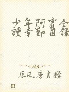 少年阿宾全文阅读章节目录