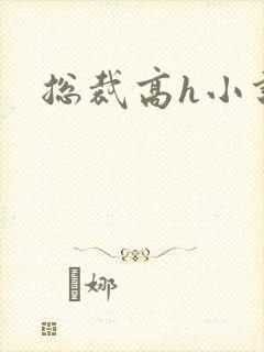 总裁高h小说