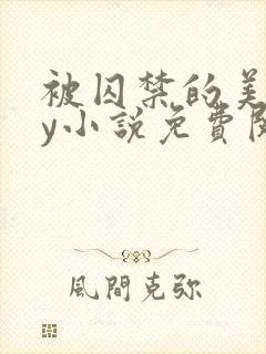 被囚禁的美人by小说免费阅读