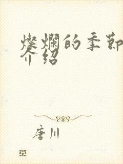 灿烂的季节剧情介绍封面