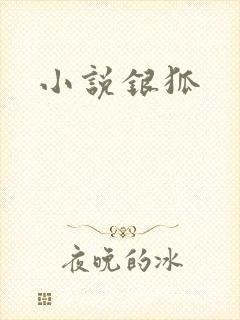 小说银狐