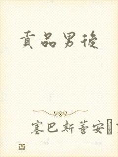 贡品男后封面