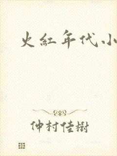 火红年代小说