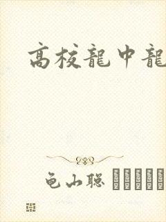 高校龙中龙封面