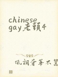 chinesegay老头4封面