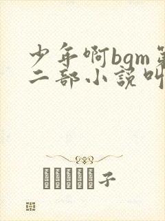 少年啊bgm第二部小说叫什么