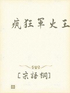 疯狂军火王