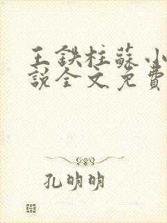 王铁柱苏小汐小说全文免费阅读最新章节封面