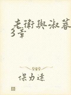 老卫与淑蓉第13章封面