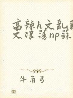 高辣h文乱乳h文浪荡np苏夏