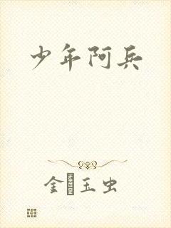 少年阿兵封面