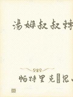 汤姆叔叔转接口