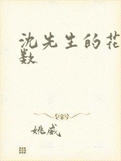 沈先生的花式调数