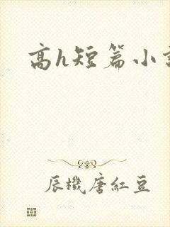 高h短篇小说