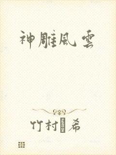 神雕风云
