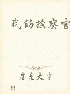 我的检察官先生