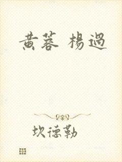 黄蓉 杨过