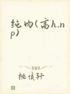 纯肉(高h.np)