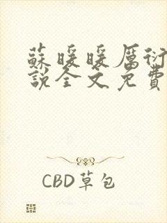 苏暖暖厉衍琛小说全文免费阅读