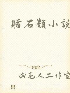 赌石类小说