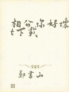 相公你好坏txt下载