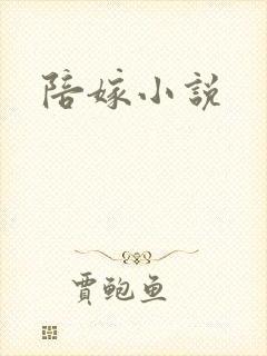 陪嫁小说封面