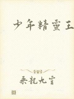 少年精灵王