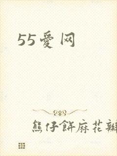 55爱网