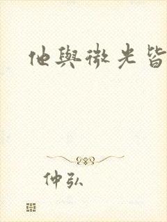 他与微光皆倾城封面